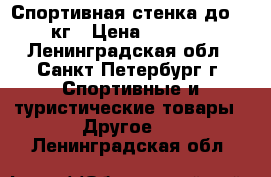 Спортивная стенка до 100кг › Цена ­ 3 000 - Ленинградская обл., Санкт-Петербург г. Спортивные и туристические товары » Другое   . Ленинградская обл.